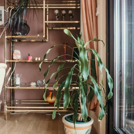 Bella Vista In Der Obersten Etage By Interhome Apartment Dramalj