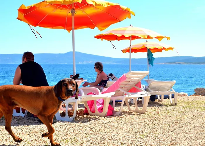 Bella Vista In Der Obersten Etage By Interhome Apartman Dramalj