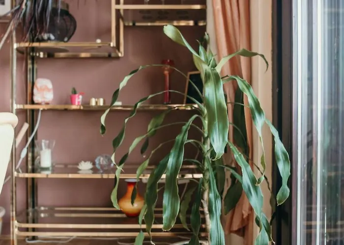 Bella Vista In Der Obersten Etage By Interhome Appartement Dramalj